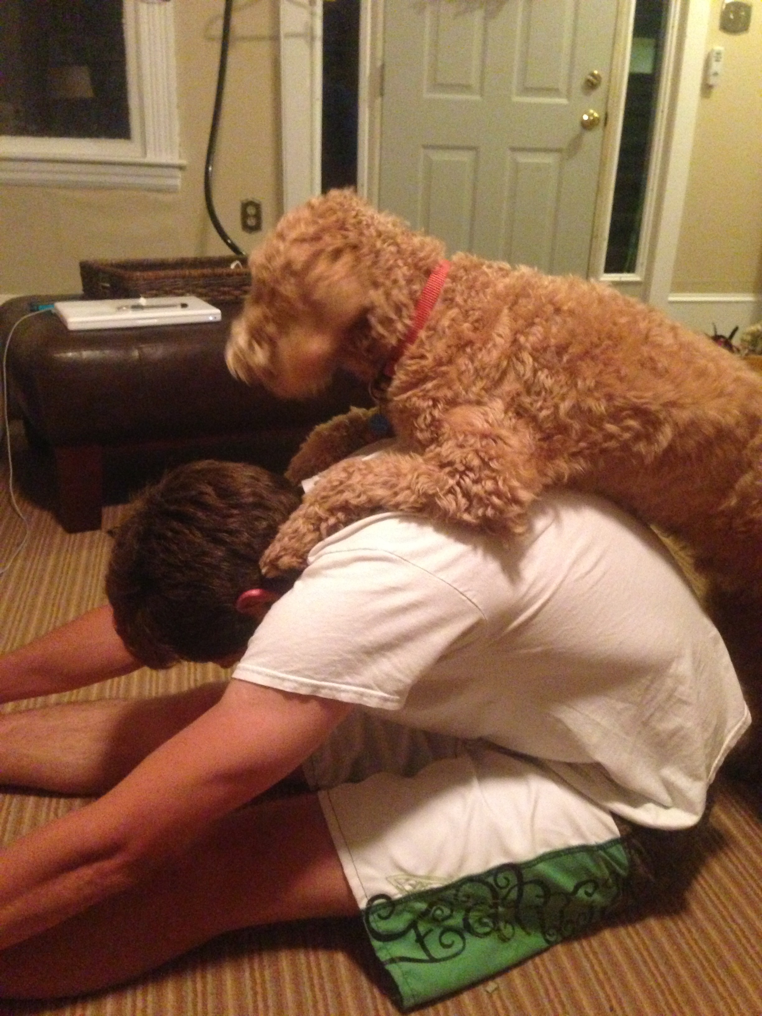 My puppy Miles helping me stretch after the Colchester 4th of July fun run