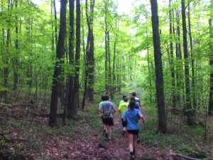 Running at Honey Hollow. An out-and-back of all uphill, then all downhill 