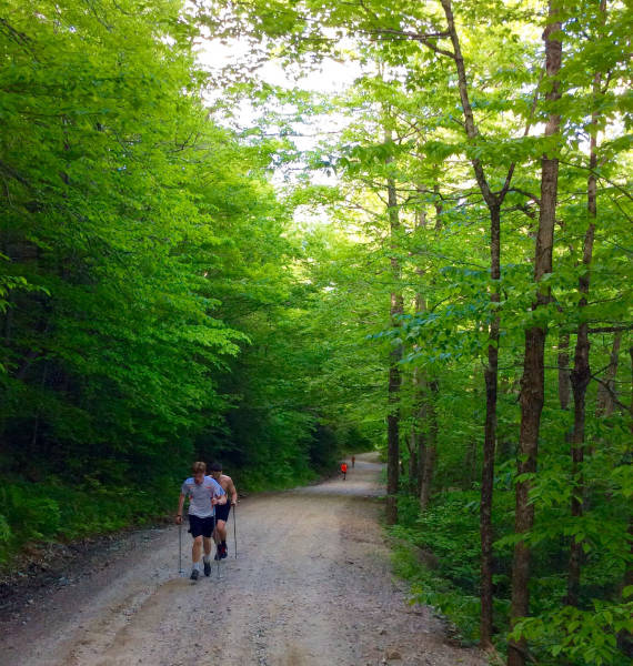 Bounding intervals at the endless uphill road known as Honey Hollow