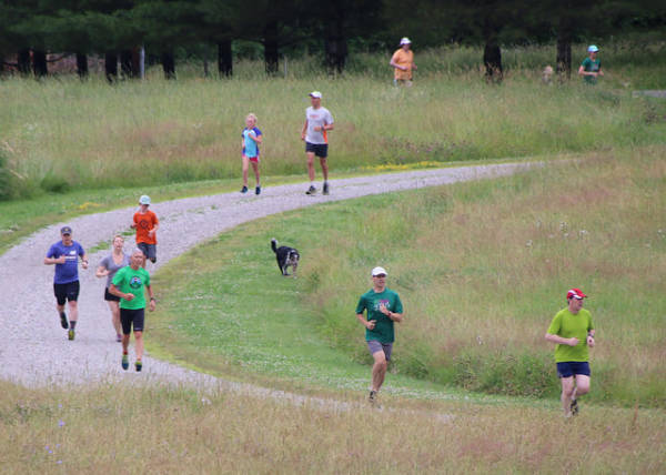 Beautiful fields, wooded paths, and rolling hills